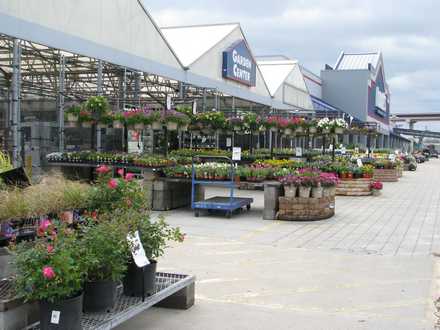 Lowe's Garden Center Plants